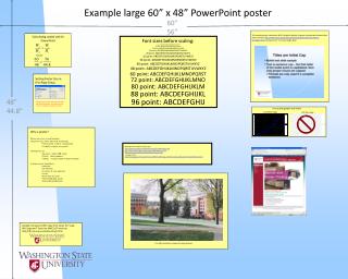 Example large 60” x 48” PowerPoint poster