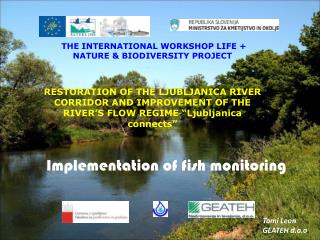 Implementation of fish monitoring