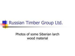 Russian Timber Group Ltd.