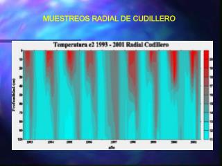 MUESTREOS RADIAL DE CUDILLERO