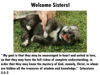 Welcome Sisters!
