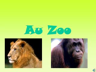 Au Zoo