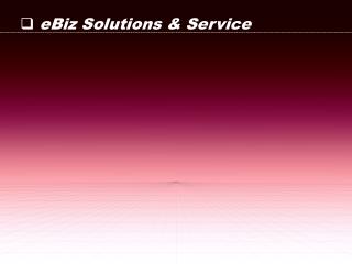 eBiz Solutions &amp; Service