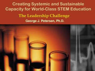 Creating Systemic and Sustainable Capacity for World-Class STEM Education