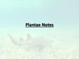 Plantae Notes