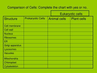 Comparison of Cells: Complete the chart with yes or no.