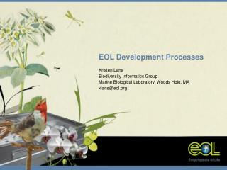 EOL Development Processes Kristen Lans Biodiversity Informatics Group