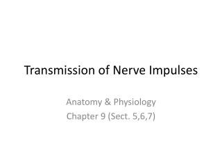 Transmission of Nerve Impulses
