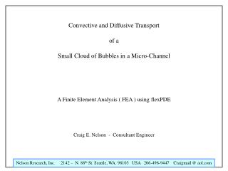 Convective and Diffusive Transport of a Small Cloud of Bubbles in a Micro-Channel