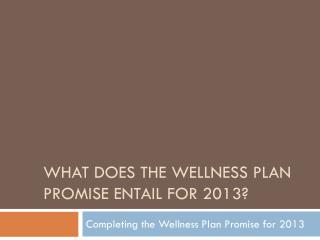 What does the Wellness Plan Promise Entail for 2013?