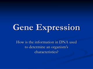 Gene Expression