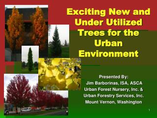 Exciting New and Under Utilized Trees for the Urban Environment