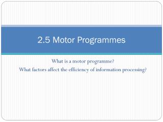 2.5 Motor Programmes