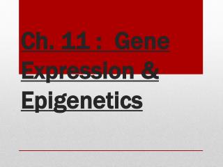 Ch. 11 : Gene Expression &amp; Epigenetics