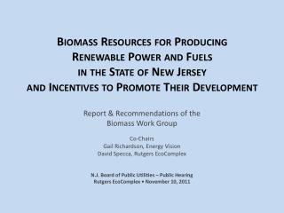 Report &amp; Recommendations of the Biomass Work Group Co-Chairs Gail Richardson, Energy Vision