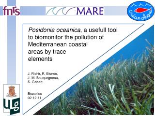 Posidonia oceanica , a usefull tool to biomonitor the pollution of Mediterranean coastal