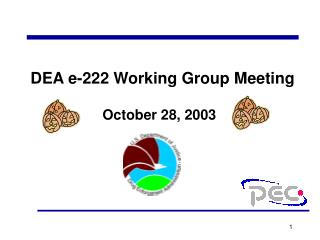 DEA e-222 Working Group Meeting