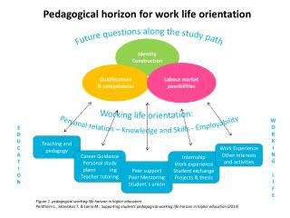 Pedagogical horizon for work life o rientation