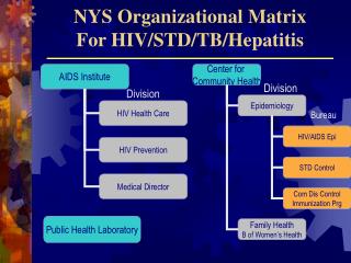 NYS Organizational Matrix For HIV/STD/TB/Hepatitis