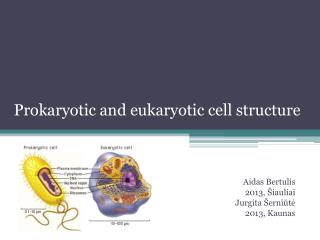Prokaryotic and eukaryotic cell structure