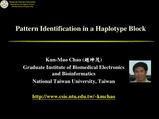 Pattern Identification in a Haplotype Block