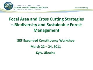 Focal Area and Cross Cutting Strategies – Biodiversity and Sustainable Forest Management