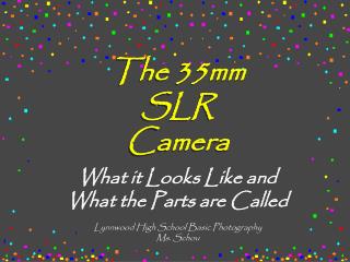 The 35mm SLR Camera