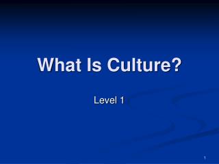 What Is Culture?