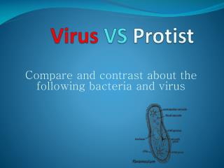 Virus VS Protist