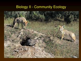 Biology II - Community Ecology