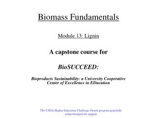 Biomass Fundamentals Module 13 : Lignin