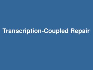 Transcription-Coupled Repair