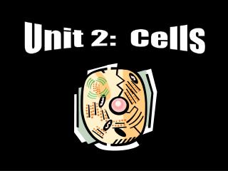 Unit 2: Cells