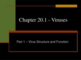Chapter 20.1 - Viruses