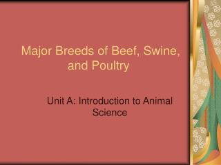 Major Breeds of Beef, Swine, and Poultry