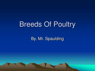 Breeds Of Poultry
