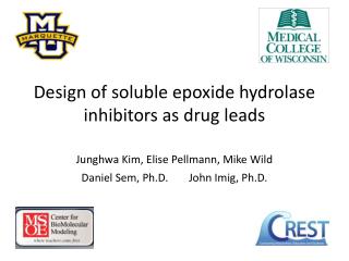 Design of soluble epoxide hydrolase inhibitors as drug leads