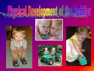 Physical Development of the Toddler