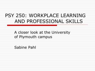 PSY 250: WORKPLACE LEARNING 	AND PROFESSIONAL SKILLS