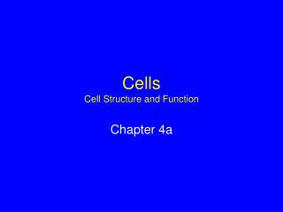 Cells Cell Structure and Function