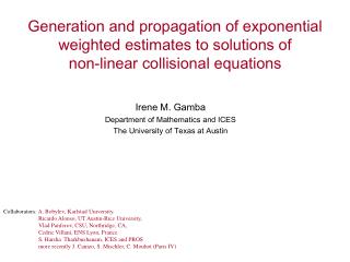 Irene M. Gamba Department of Mathematics and ICES The University of Texas at Austin