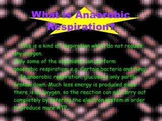 What is Anaerobic Respiration?