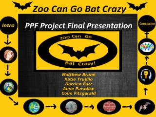 PPF Project Final Presentation