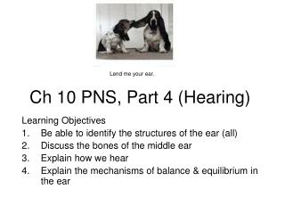 Ch 10 PNS, Part 4 (Hearing)