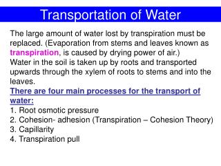 Transportation of Water