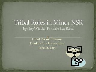 Tribal Roles in Minor NSR by: Joy Wiecks, Fond du Lac Band