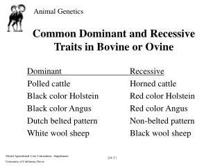 Common Dominant and Recessive Traits in Bovine or Ovine