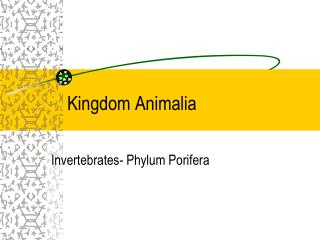Kingdom Animalia
