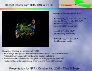 Presentation for NFR - October 19, 2005 - Trine S.Tveter