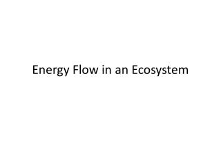 Energy Flow in an Ecosystem